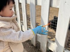 -前小桔亲子创意农场·草莓采摘·露营烧烤