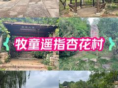 -杏花村文化旅游区