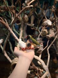 -Zoolung Zoolung动物主题公园(海信广场店)