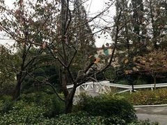 -兰溪青年公园