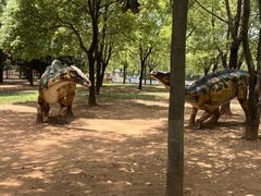 -中国西峡恐龙遗迹园
