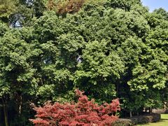 -樱桃山旅游景区