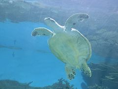 -福州罗源湾海洋世界旅游区
