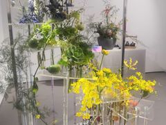 -深圳国际园林花卉博览园