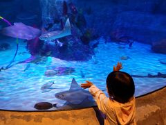 -沈阳海洋探索中心