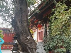 -叩齿古寺