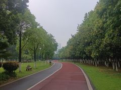 -艾溪湖湿地公园