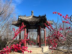 -北京凤凰岭