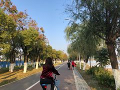 -艾溪湖湿地公园