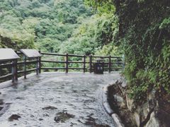 -少华山国家森林公园