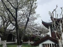 -堤角公园