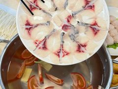 -新起点脆肉鲩火锅(宝安南路店)