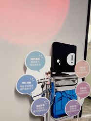 -玛莲朵·海菲秀冰珀科