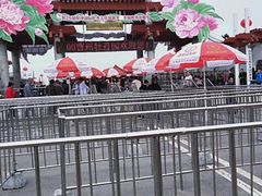-曹州牡丹园