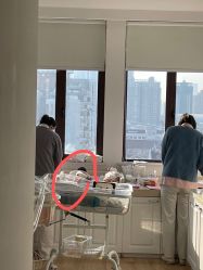 点击看大图 -海豚湾高端月子会所(黄浦店)