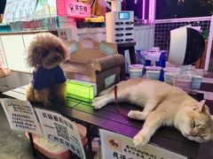 -凤城·食都