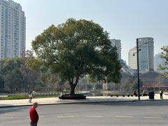 -金玉满堂潮州酒楼(无限极荟购物广场店)