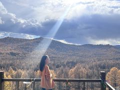 -莫尔道嘎国家森林公园