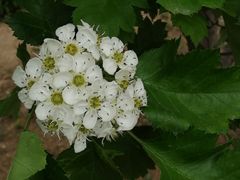 -兰陵国家农业公园