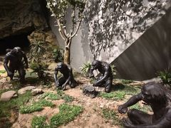 -北京周口店北京人遗址博物馆