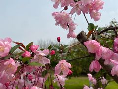 -武汉园博园(武汉自然博物馆)