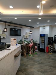 -YESIDO椰岛造型