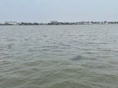 -鹅湖玫瑰文化园