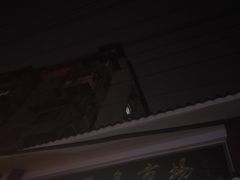 -武汉花鸟市场