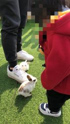 -萌宠亲子动物乐园(槐房万达店)