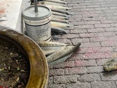 -老四川平头酸菜鱼(衙前店)