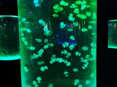 -苏州海洋馆