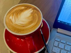 -咖法森林·咖啡  酒吧(天河店)