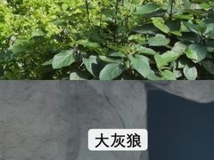 -成都动物园