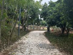 -深圳大学(丽湖校区)