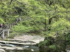 -溪口-滕头旅游景区