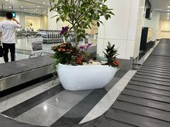 -福州长乐国际机场