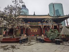 -真庆观