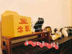 -金龙咖喱