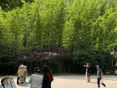 -紫藤园·天目湖大鱼头(南山竹海店)