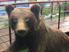 -郑州自然博物馆(惠济区)