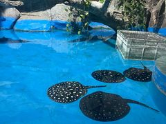 -泉城欧乐堡海洋极地世界