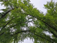 -恭王府博物馆