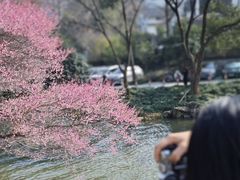 -中国茶叶博物馆(双峰馆区)
