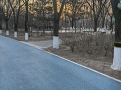 -大兴滨河森林公园