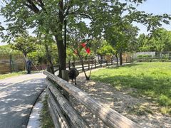-苏州太湖西山岛开心农场