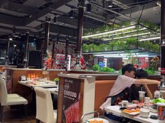-猫爪爪原切自助烤肉(观音桥阳光世纪店)