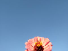 -花博汇(知音花月夜)