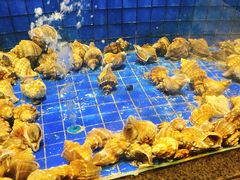 -新荣记(西溪湿地店)