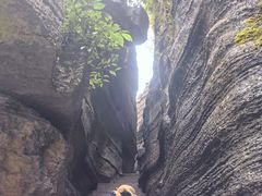 -梭布垭石林景区