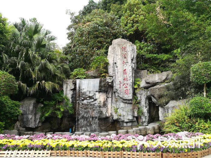 廣州流溪河國家森林公園圖片 - 第3張